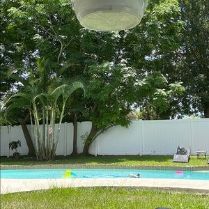 Meet your Posher, Mabel